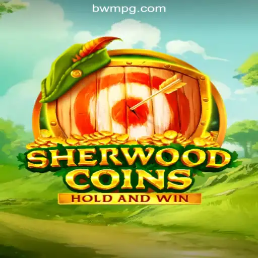 Discovering the Thrills of SherwoodCoins: A Premier Online Slot Game